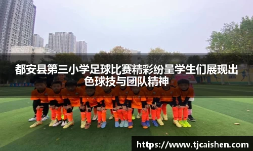 db视讯官方网站